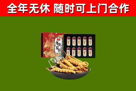 佳木斯回收冬虫夏草价格